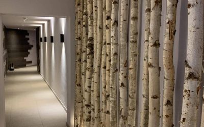 gerber gmbh hotel umbau neubau vilavita rosenpark 26 e1554290731388