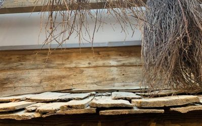 gerber gmbh hotel umbau neubau vilavita rosenpark 29 e1554290803734